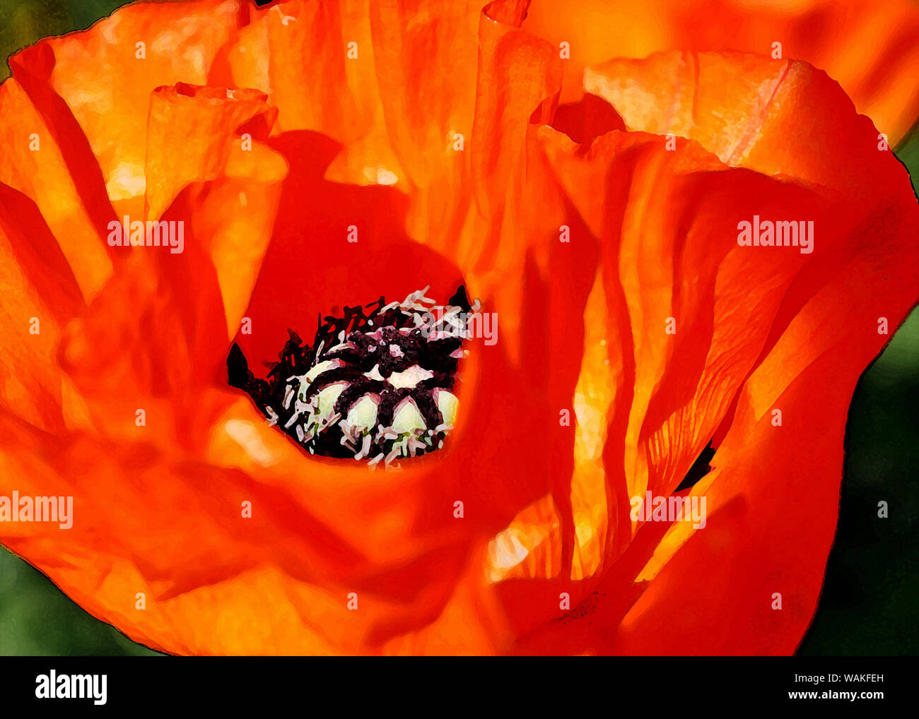 Mohn Blumen in der Malerei Stil Stockfoto