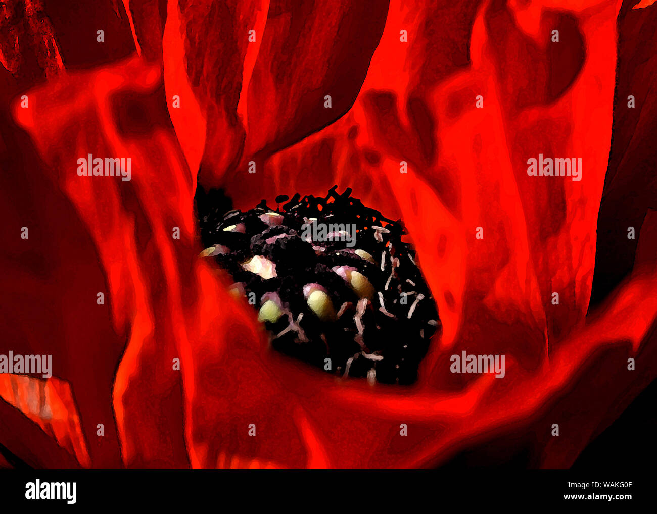 Mohn Blumen in der Malerei Stil Stockfoto