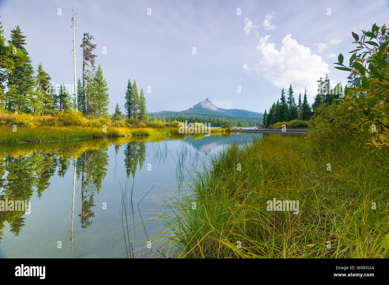 Big Lake, Willamette National Forest, Mt. Washington, Oregon Stockfoto