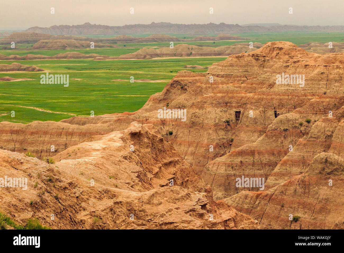 USA, South Dakota, Badlands National Park. Schroffe Wildnis. Credit: Cathy und Gordon Illg/Jaynes Galerie/DanitaDelimont.com Stockfoto