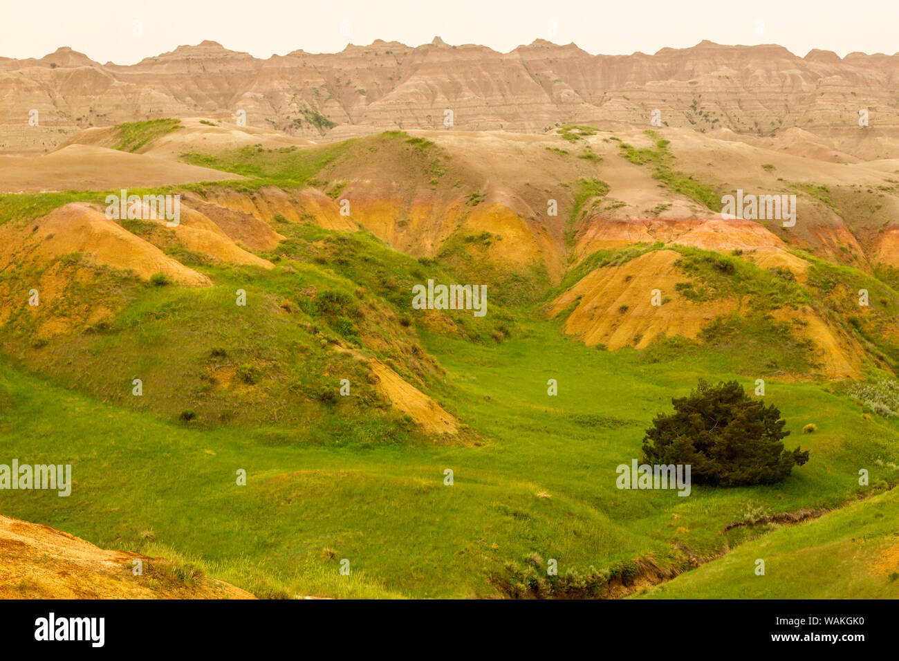 USA, South Dakota, Badlands National Park. Schroffe Wildnis. Credit: Cathy und Gordon Illg/Jaynes Galerie/DanitaDelimont.com Stockfoto