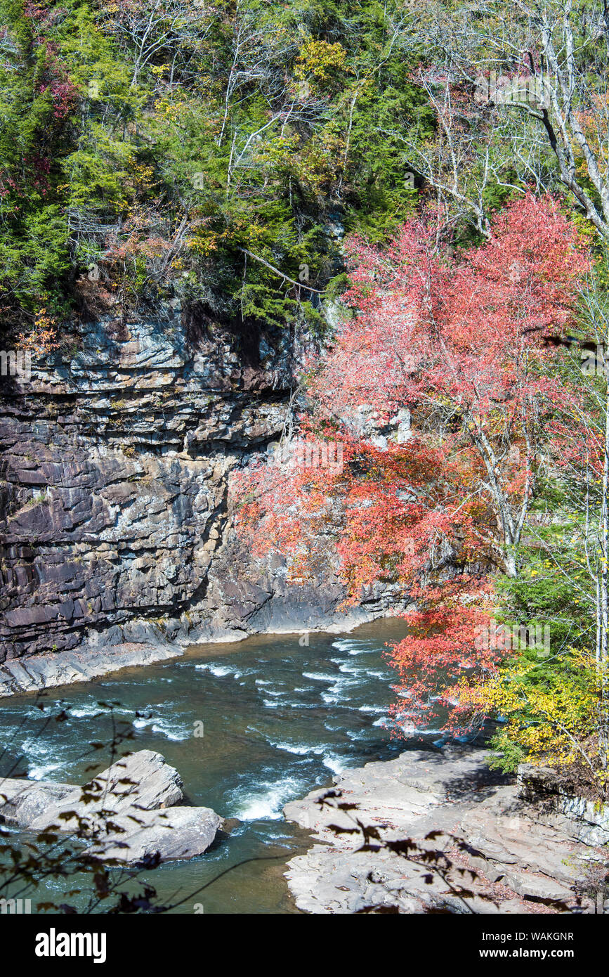 USA, Tennessee. Fall Creek Falls State Park. Fluss über Cane Creek Kaskaden. Leuchtenden Herbst Farbe Stockfoto