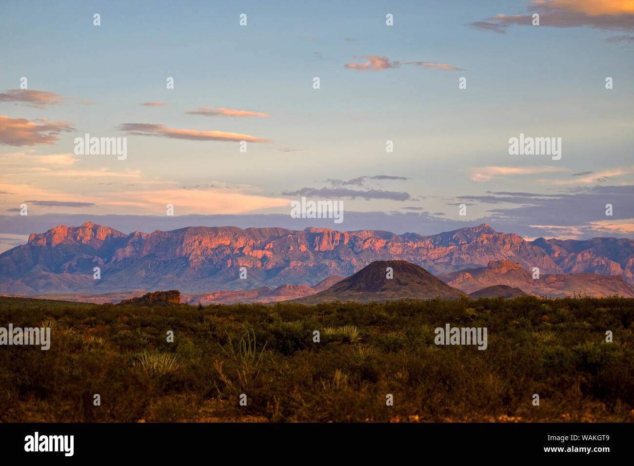 Chihuahuan Wüste Sonnenuntergang. Stockfoto