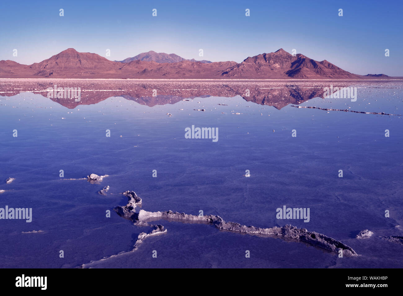 USA, Utah, Great Salt Lake. Berg spiegelt sich im See. Kredit als: Dennis Flaherty/Jaynes Galerie/DanitaDelimont.com Stockfoto