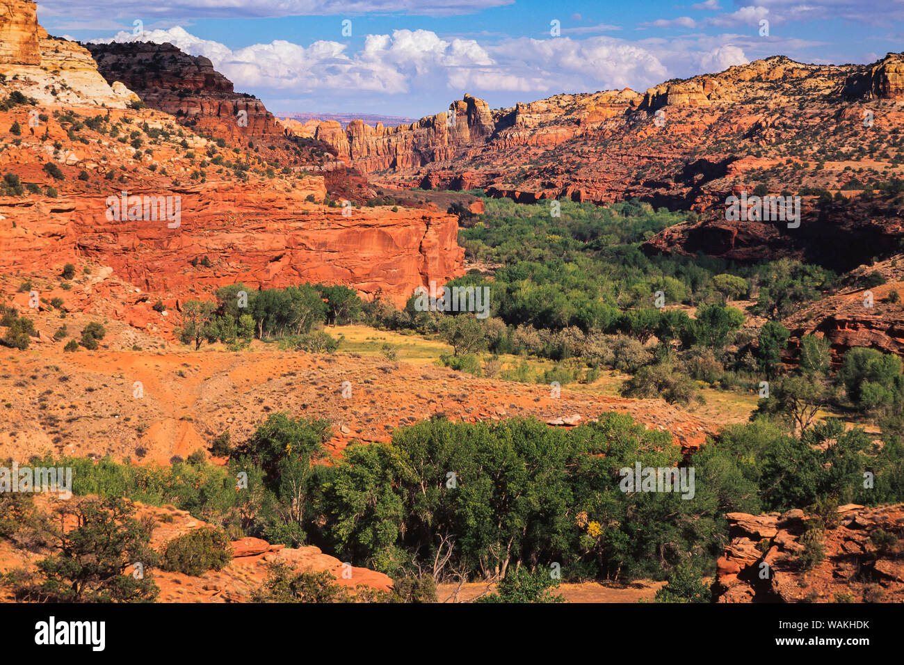 Escalante River blicken, Grand Staircase-Escalante National Monument, Utah Stockfoto