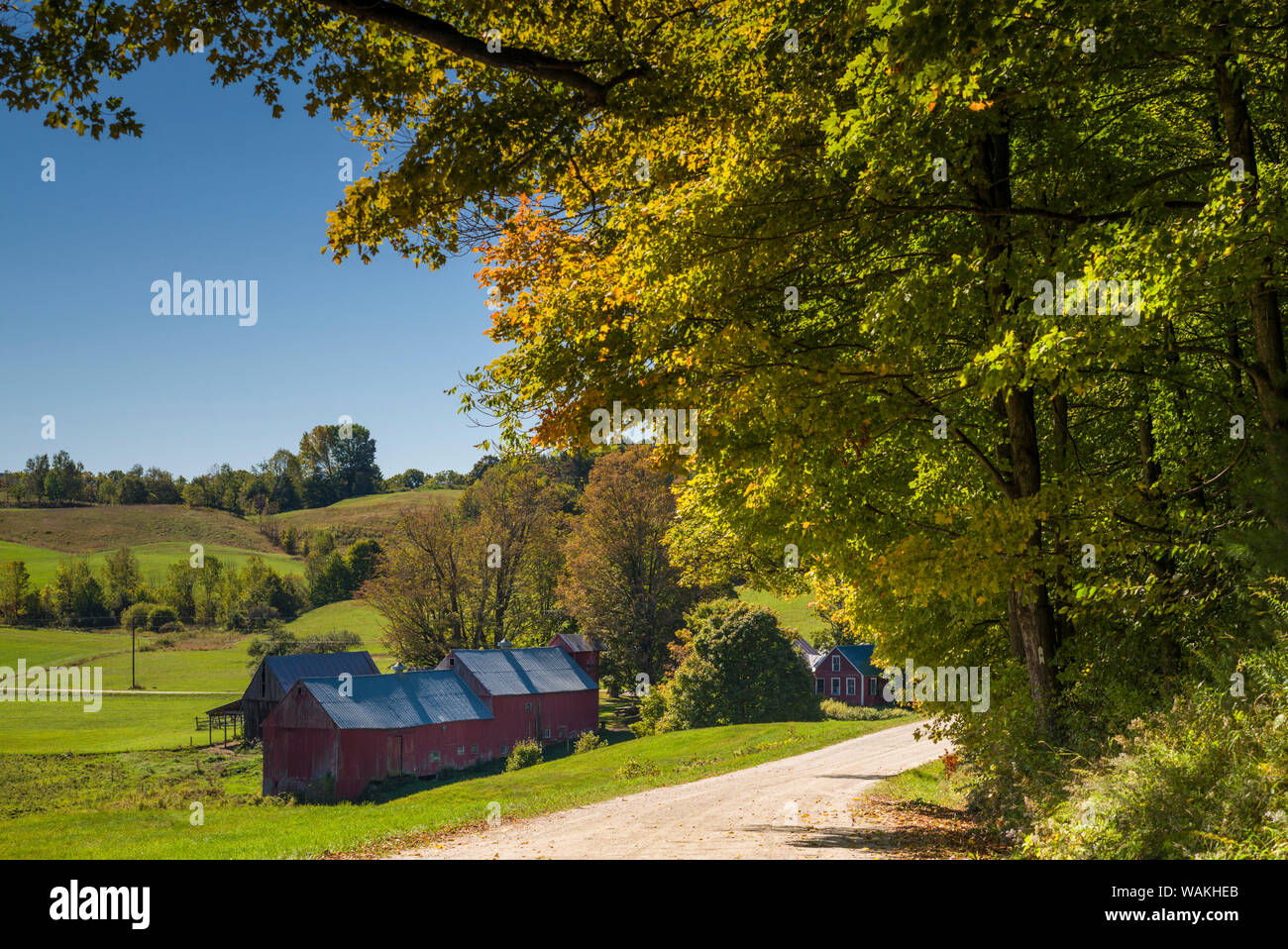 USA, Vermont, Lesen. Jenne Farm Stockfoto