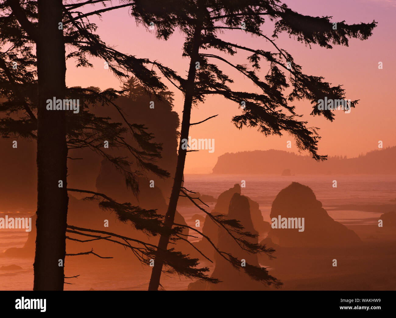 USA, Washington State, Olympic National Park. Sonnenuntergang am Strand von Ruby. Kredit als: Dennis Flaherty/Jaynes Galerie/DanitaDelimont.com Stockfoto