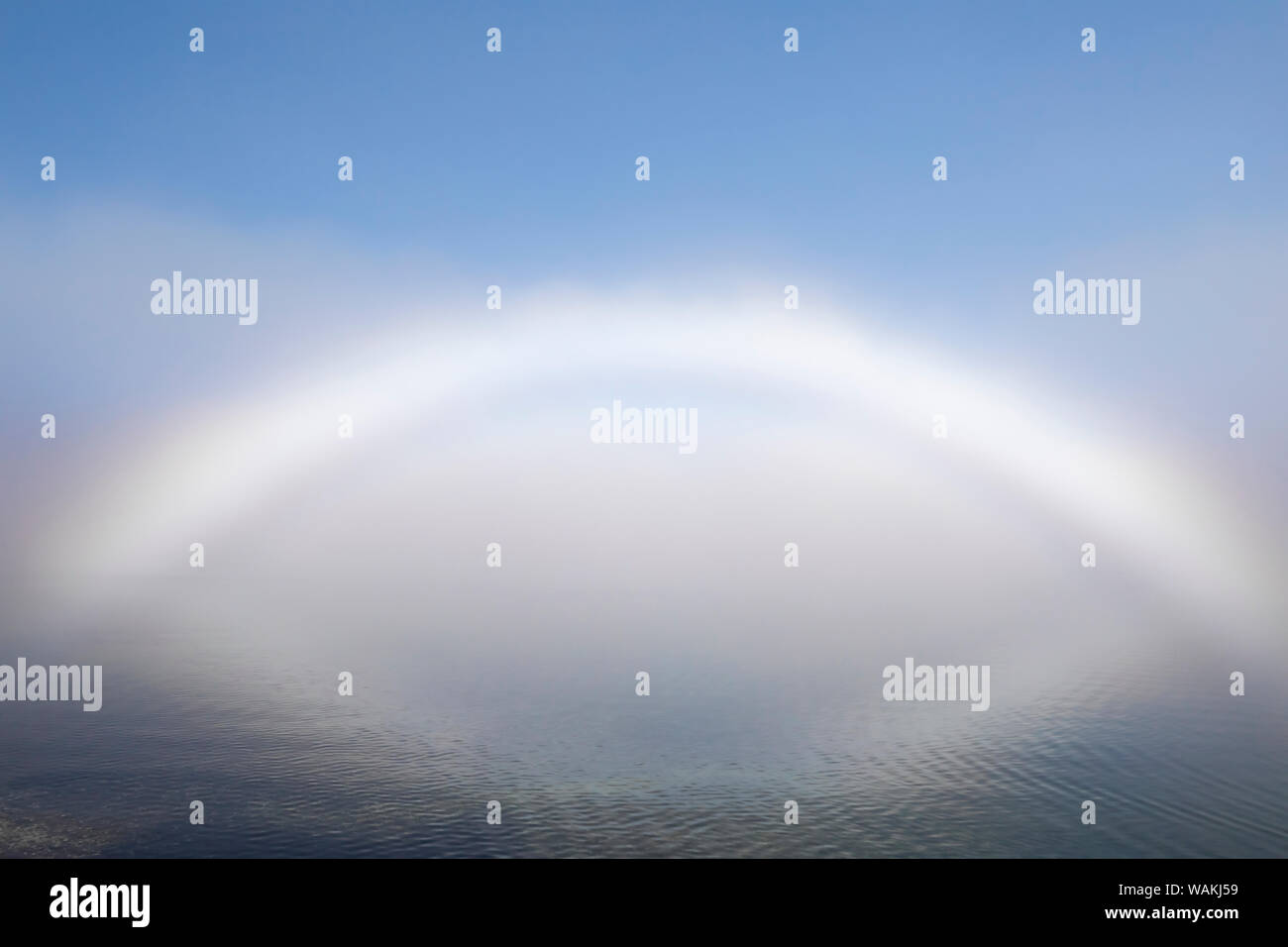USA, Washington State, seabeck. Nebel Bug auf Haube Kanal. Credit: Don Paulson/Jaynes Galerie/DanitaDelimont.com Stockfoto