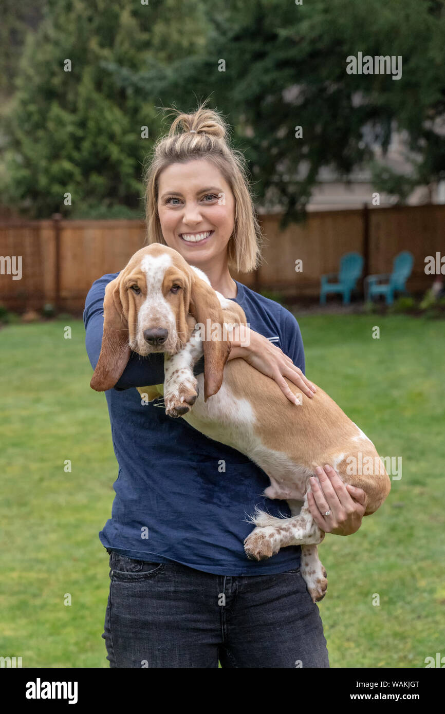 Frau, die Ihre fünf Monate alte Basset Hound Welpen halten. (MR, PR) Stockfoto