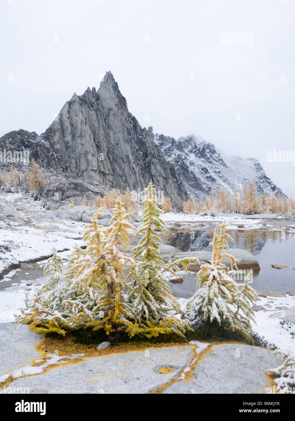 Washington State, alpinen Seen Wildnis. Verzauberung Seen, schneebedeckte Lärchen mit prusik Peak und Gnome Tarn Stockfoto