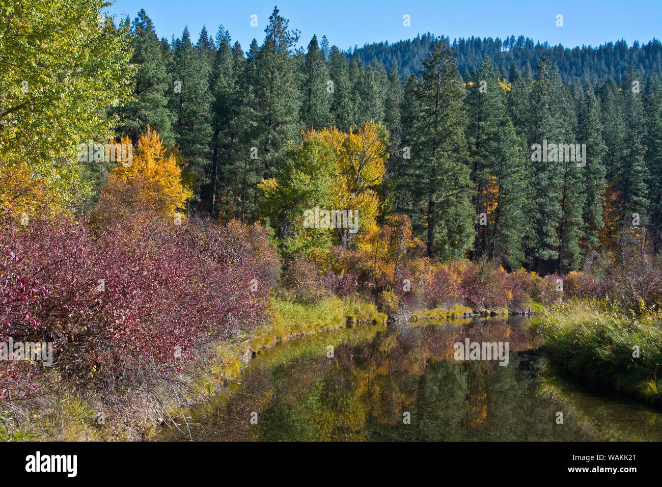 Herbst, Reflexionen, Leavenworth National Fish Hatchery, Washington State, USA Stockfoto