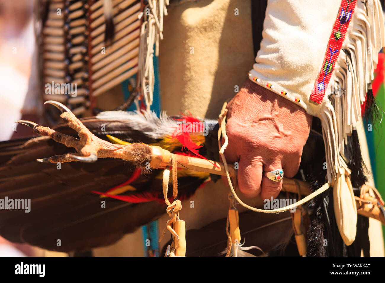 Pow Wow, Seafair Feier, Tribal Gathering bei Tagesanbruch Center, Discovery Park, Seattle, Washington State, USA Stockfoto