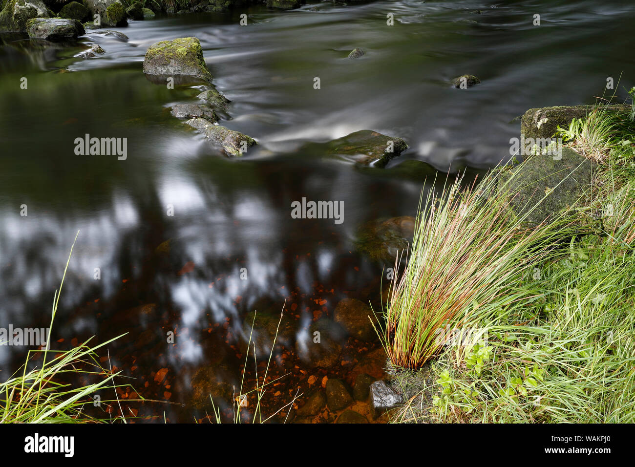 Der Fluss Washburn zwischen Behälter und Thruscross Fewston Reservoir in der Washburn Tal fließt, nidderdale North Yorkshire Stockfoto