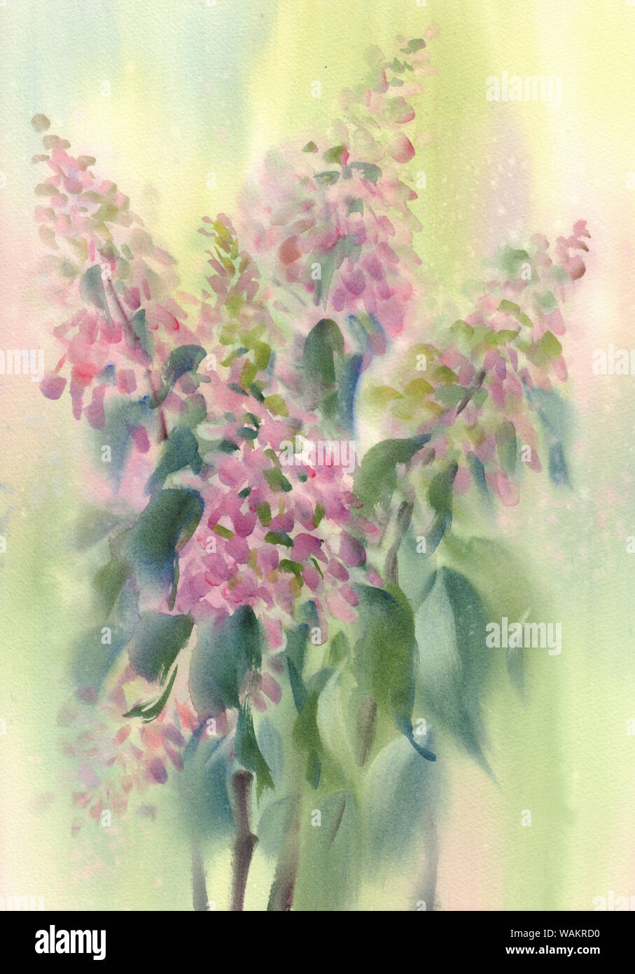 Ein Bouquet von rosa Blüten, Hortensien aquarell Abbildung. Herbst Blumen Stockfoto