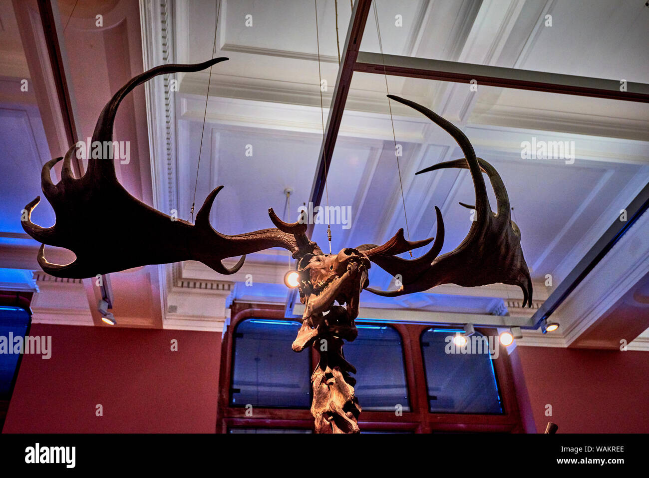 Kelvingrove (GLAS 1) Stockfoto