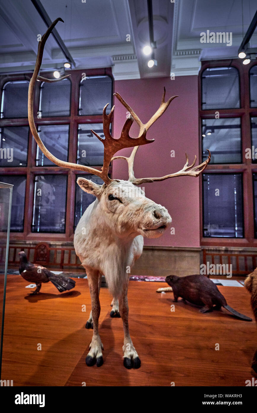 Kelvingrove (GLAS 1) Stockfoto