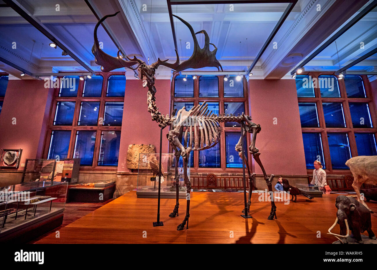 Kelvingrove (GLAS 1) Stockfoto