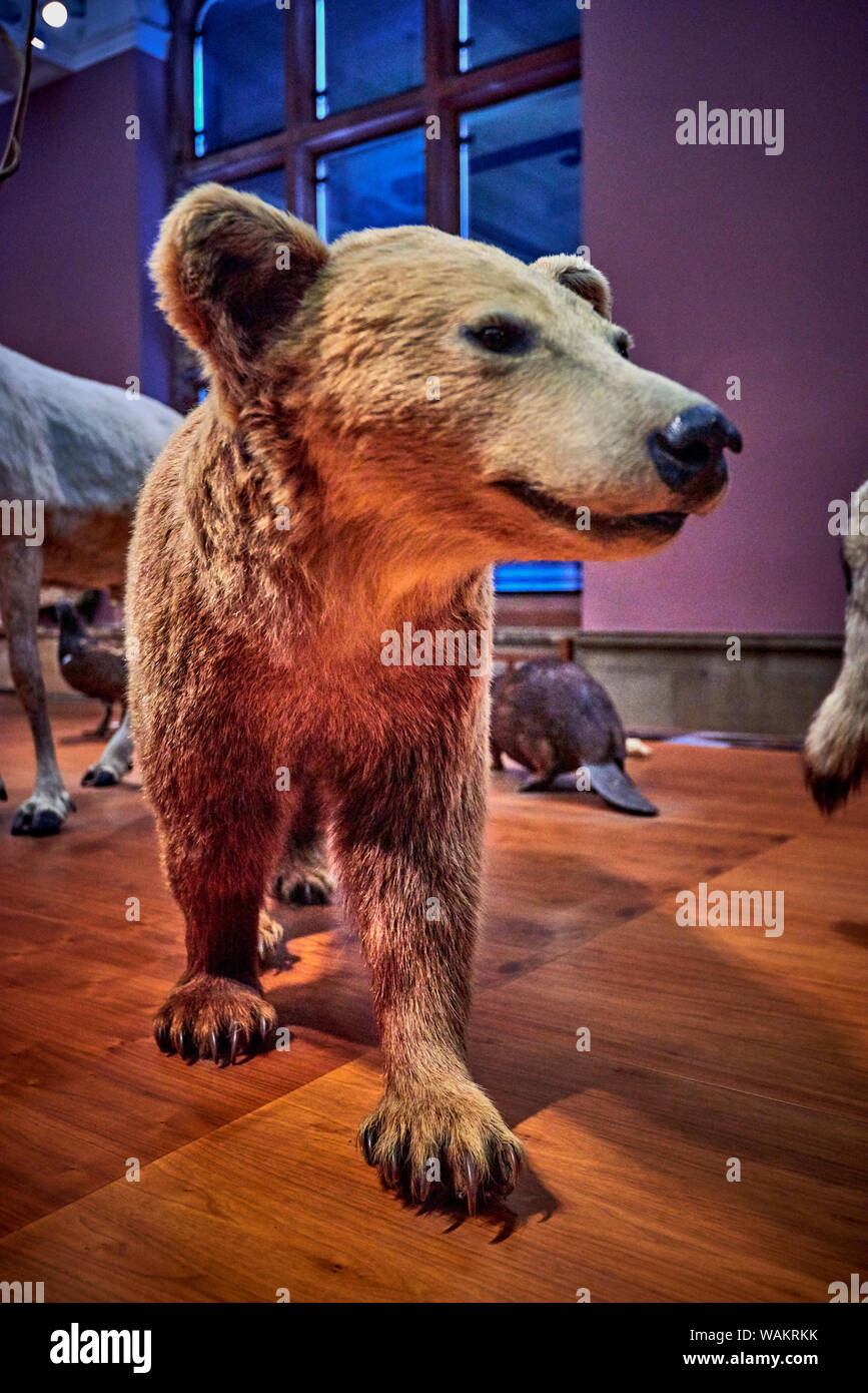 Kelvingrove (GLAS 1) Stockfoto