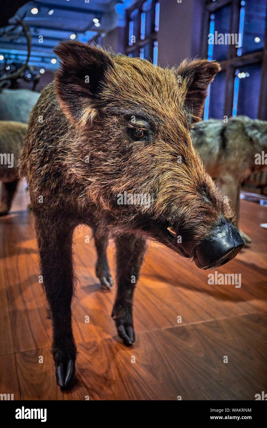 Kelvingrove (GLAS 1) Stockfoto