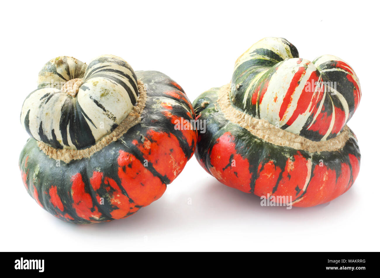 Turban Squash isoliert auf weißem Stockfoto