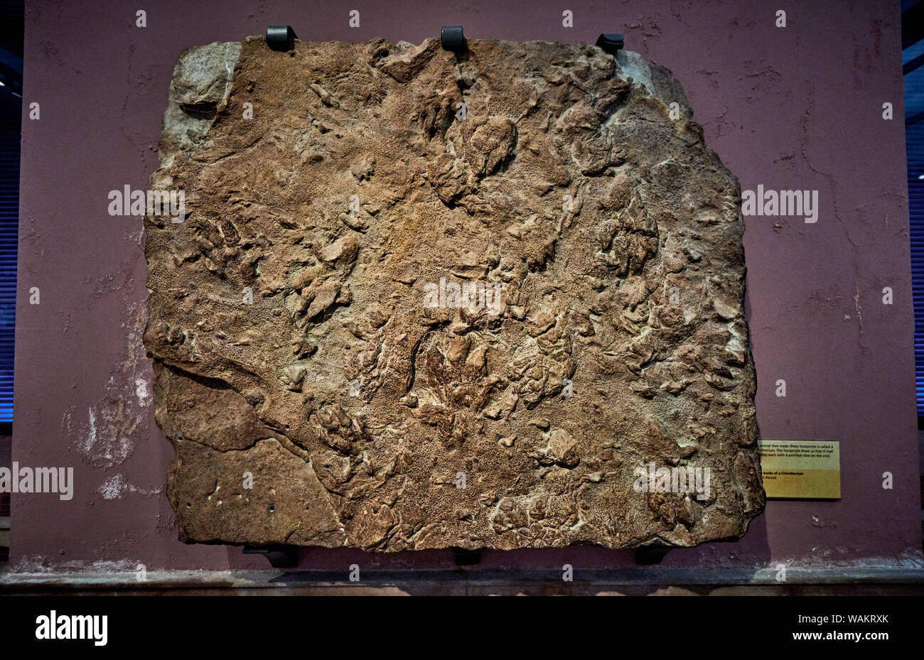 Kelvingrove (GLAS 1) Stockfoto