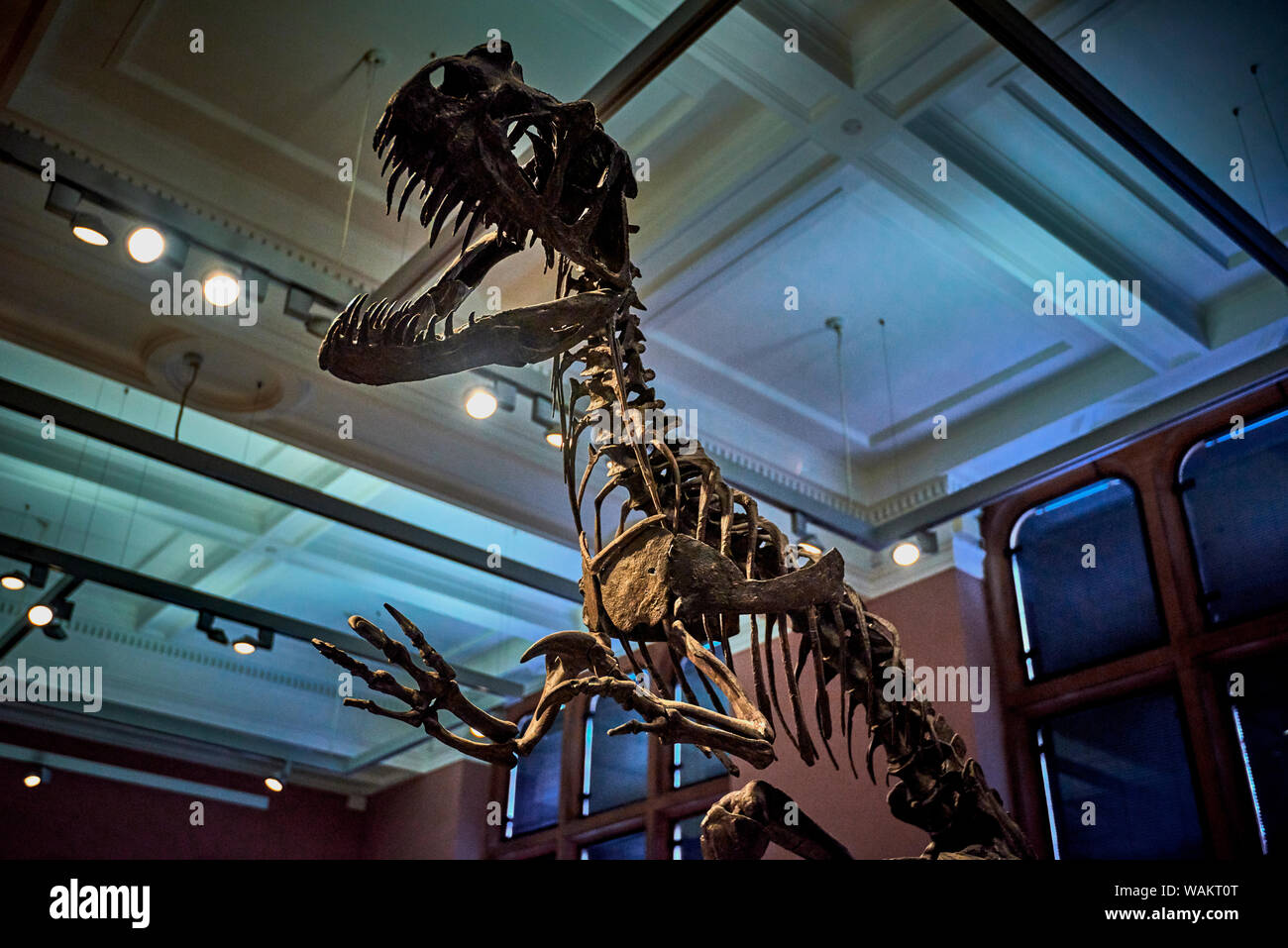 Kelvingrove (GLAS 1) Stockfoto