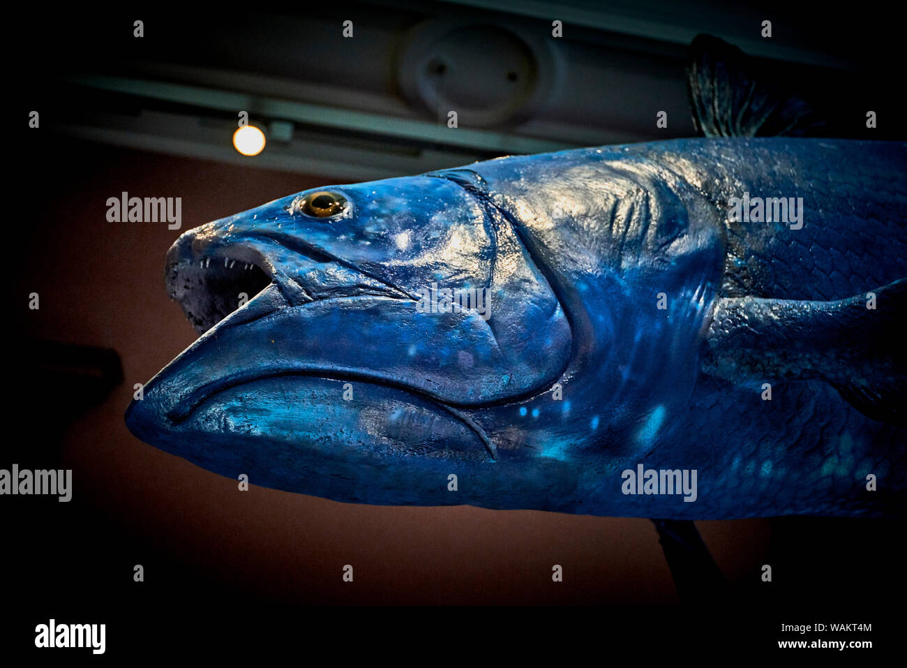 Kelvingrove (GLAS 1) Stockfoto