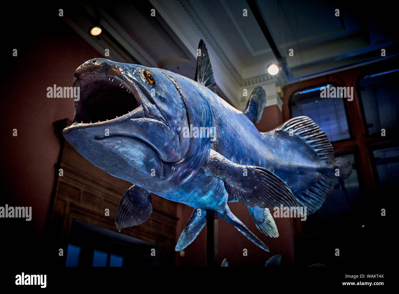 Kelvingrove (GLAS 1) Stockfoto