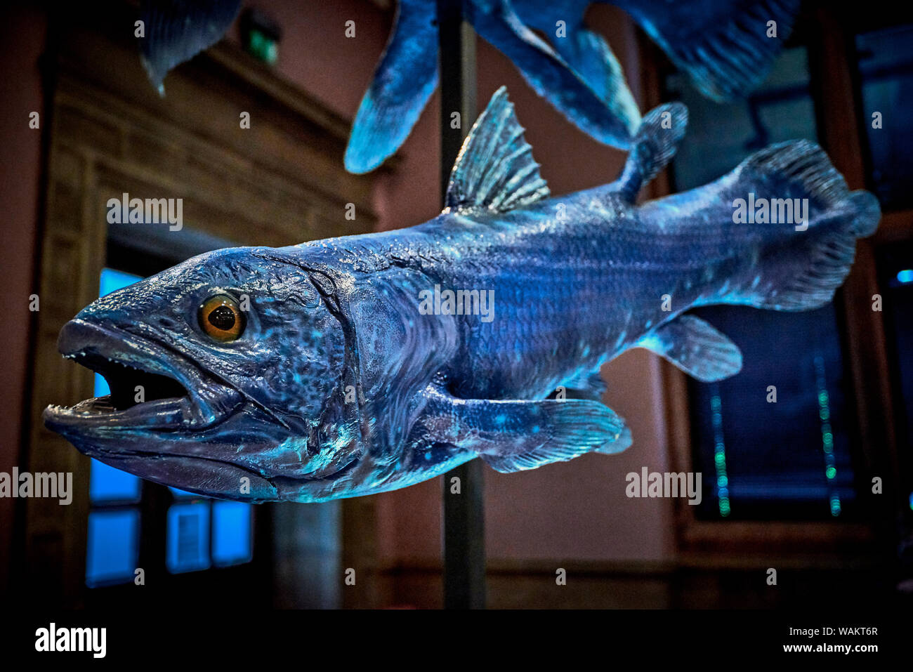 Kelvingrove (GLAS 1) Stockfoto