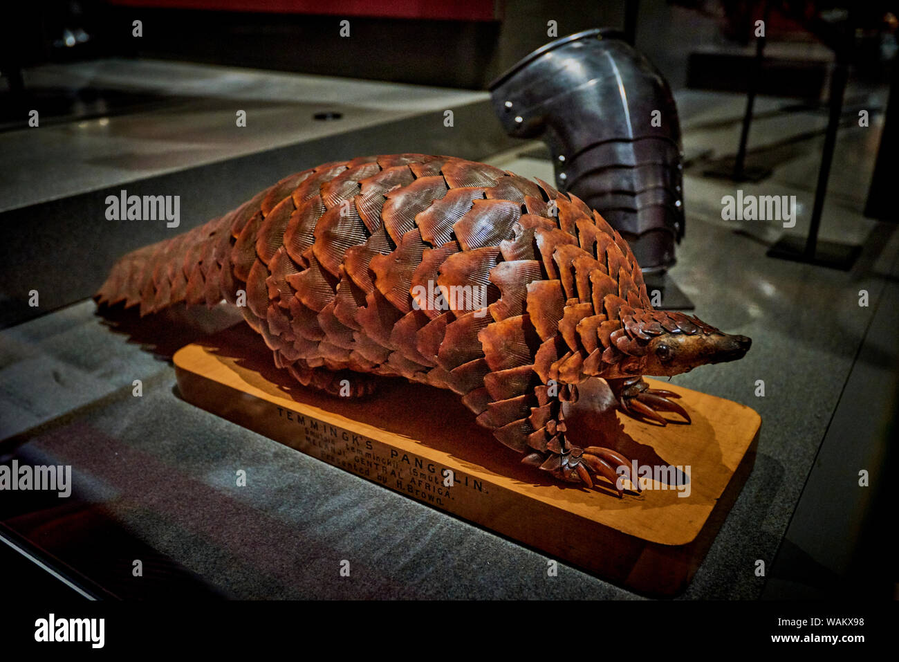 Kelvingrove (GLAS 1) Stockfoto