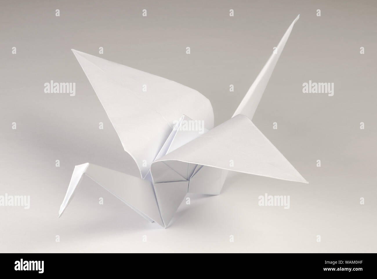 Hellgrau origami Crane auf grauem Hintergrund. Tsuru. Japanische Kunst des Papierfaltens. Flache quadratische Blatt Papier in fertige Skulptur übertragen. Stockfoto