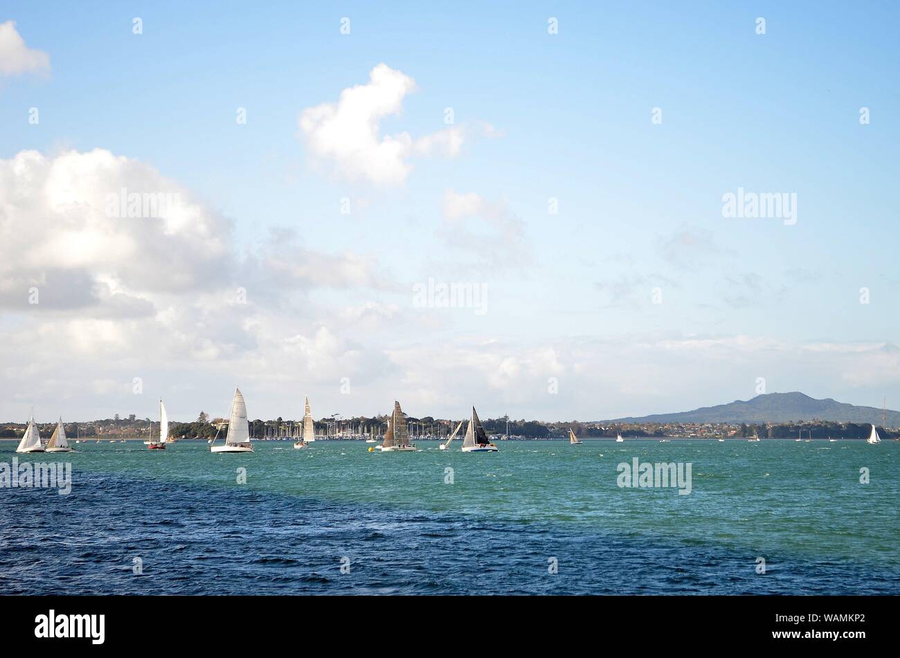 Segeln im Hafen von Auckland, Neuseeland Stockfoto