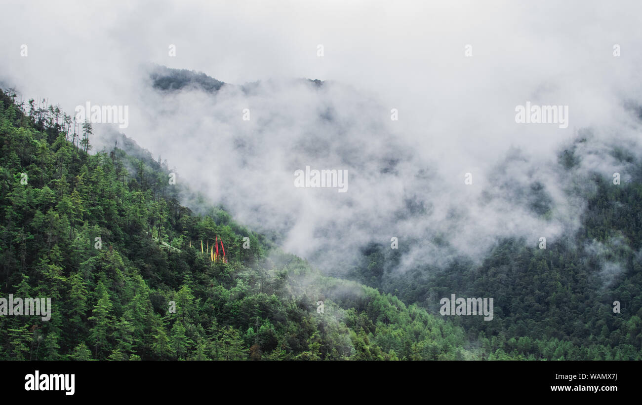 Hügel, Wald, Bhutan Stockfoto