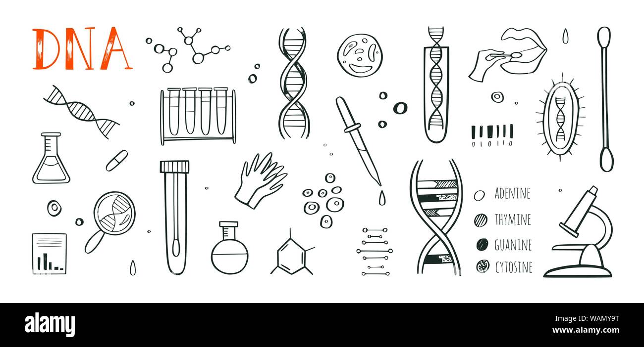 Gentechnik und medizinische Forschung vector Hintergrund. DNA-Helix, Genom Prüfung Elemente. Chemisches Labor Konzept Stock Vektor