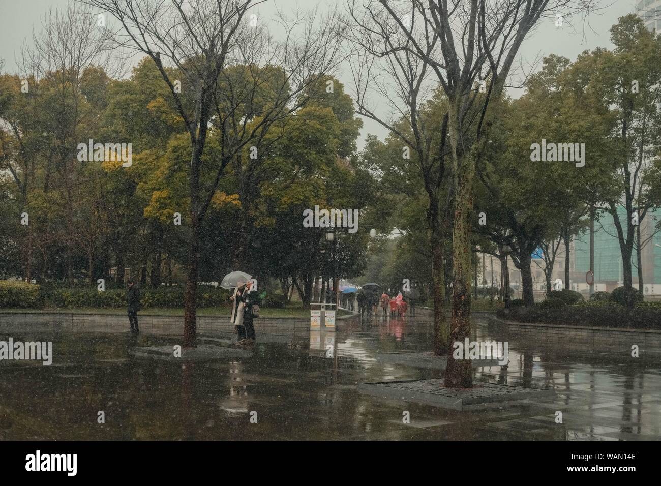 Weite Aufnahme von Leuten, die Regenschirme unter dem Regen halten Bäume Stockfoto