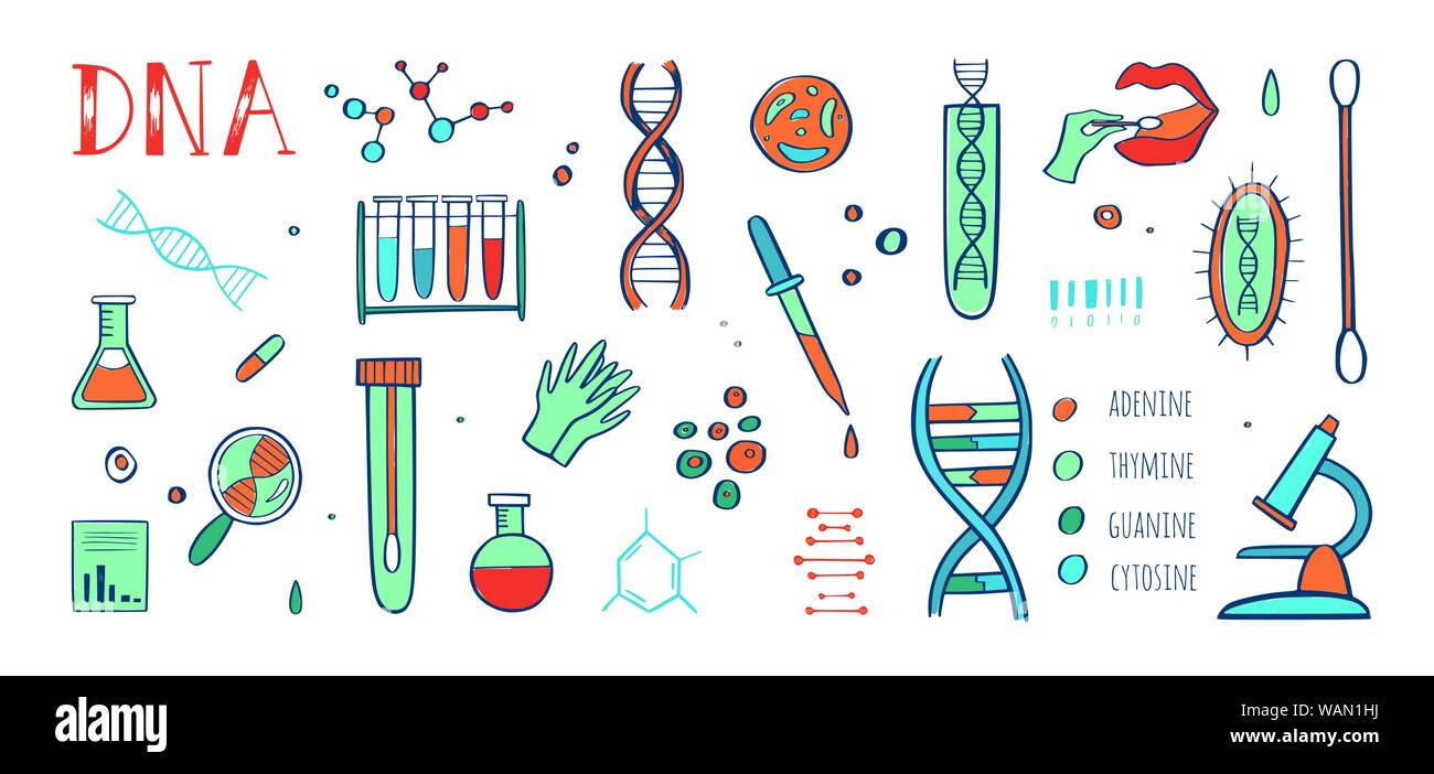 Gentechnik und medizinische Forschung vector Hintergrund. DNA-Helix, Genom Prüfung Elemente. Chemisches Labor Konzept Stock Vektor