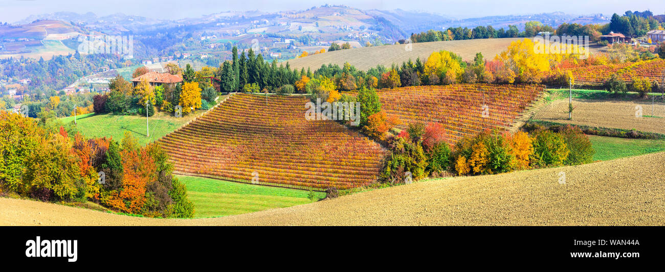 Herbst Landschaft - schöne bunte Weinberge des Piemont, Wein Region des nördlichen Italien Stockfoto