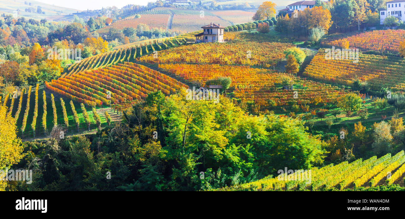 Herbst Landschaft - schöne bunte Weinberge des Piemont, Wein Region des nördlichen Italien Stockfoto
