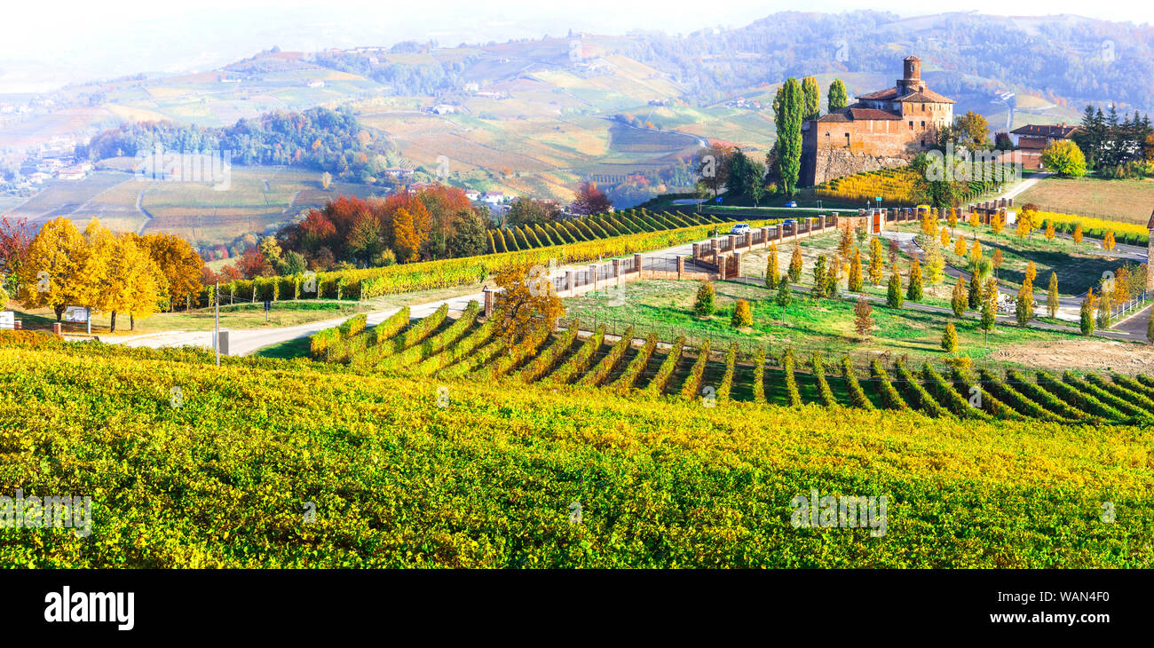 Herbst Landschaft - schöne bunte Weinberge des Piemont, Wein Region des nördlichen Italien Stockfoto