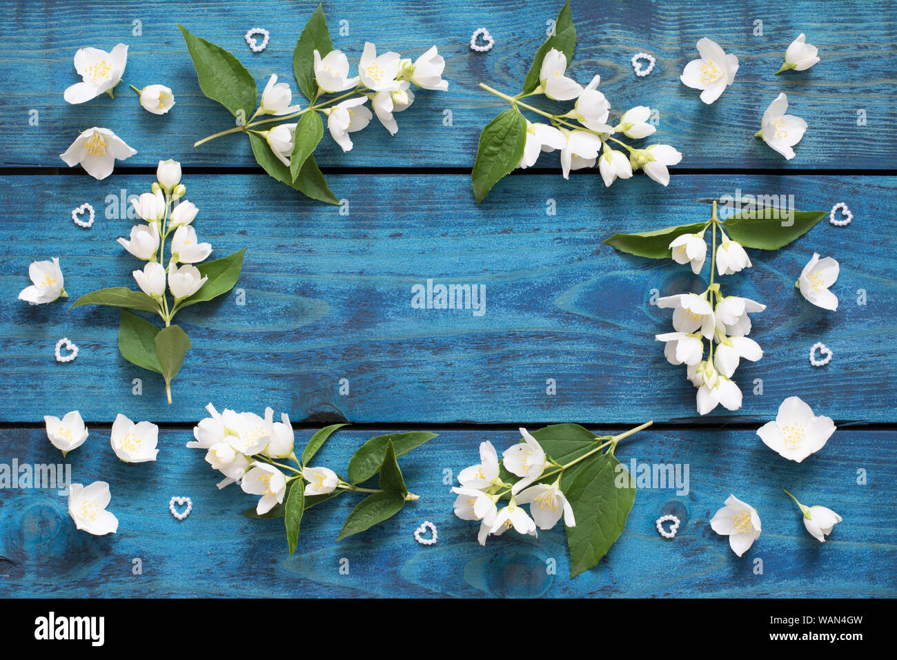 Romantischen Rahmen aus blühenden Jasmin Zweige, Blumen und Herzen auf blauem Hintergrund Holz-text-Raum Stockfoto