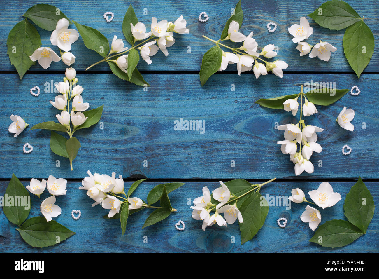 Romantischen Rahmen aus blühenden Jasmin Zweigen, Blüten, Blätter und Herzen auf blauem Hintergrund Holz-text-Raum Stockfoto