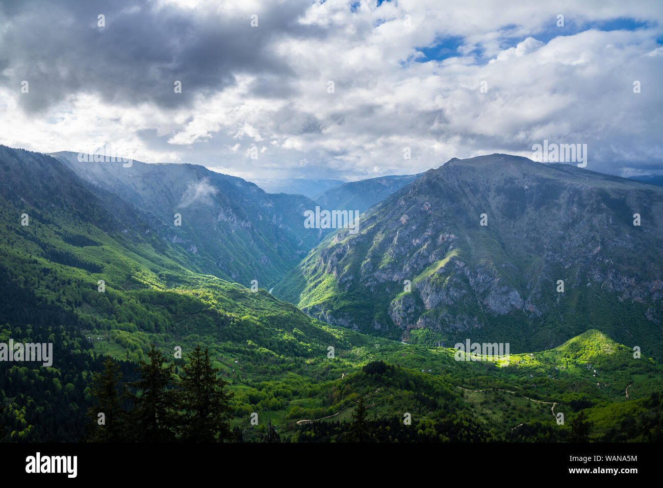 Montenegro, spektakulären Fluss Tara Canyon Natur Landschaft mit grünen bewaldeten riesige Berge von Tara Fluss in magisches Licht überquerte Nach dem Regen in d Stockfoto