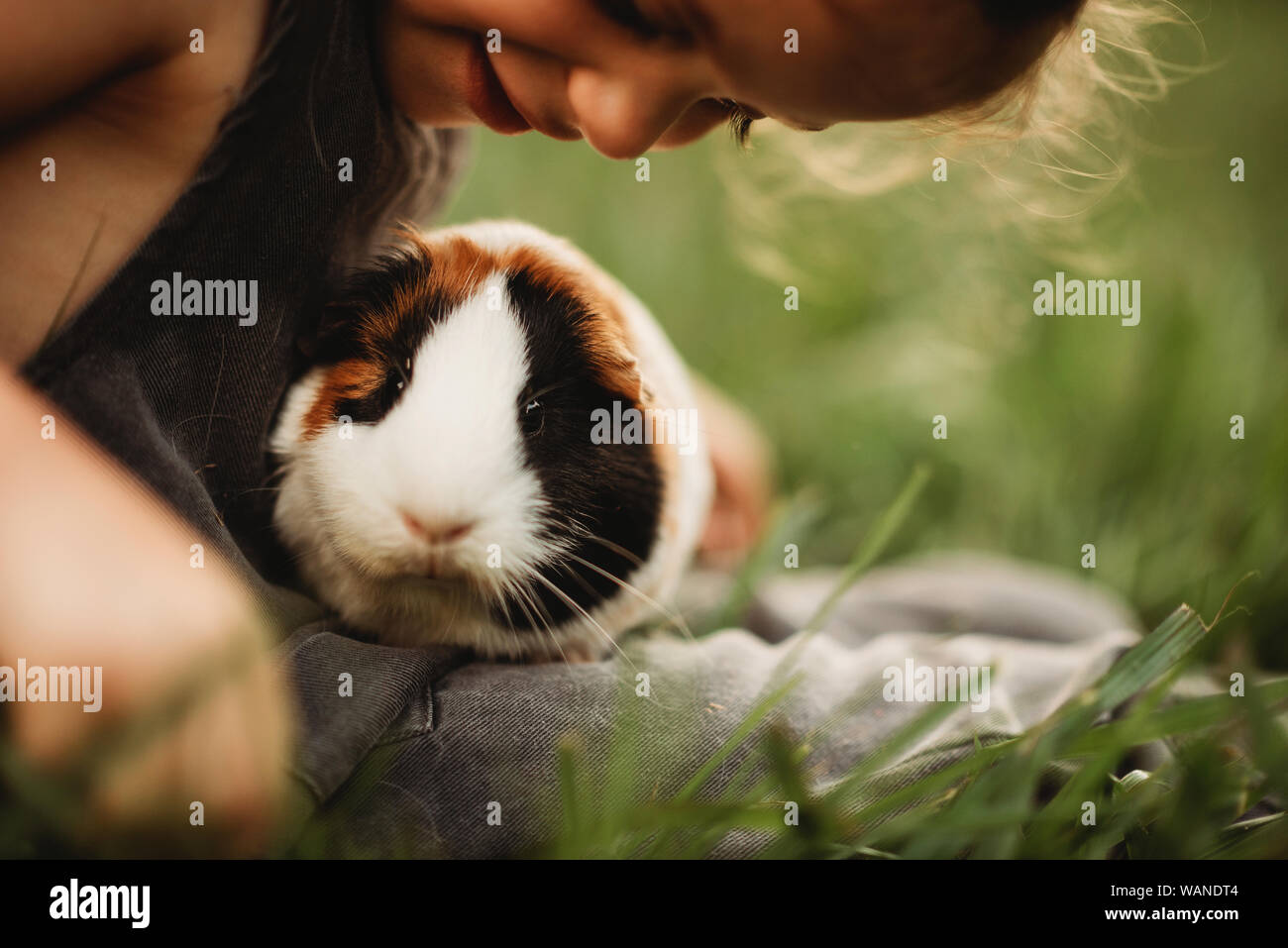 Wunderbar Kleines Haustier Zum Kuscheln Bilder