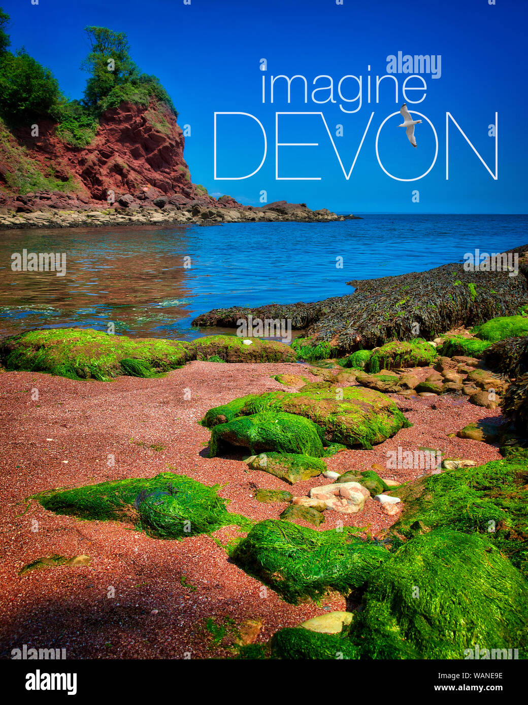 TRAVEL POSTER KONZEPT: Stellen Sie sich vor, Devon (Devon, Watcombe Beach in der Nähe von Babbacombe) Stockfoto