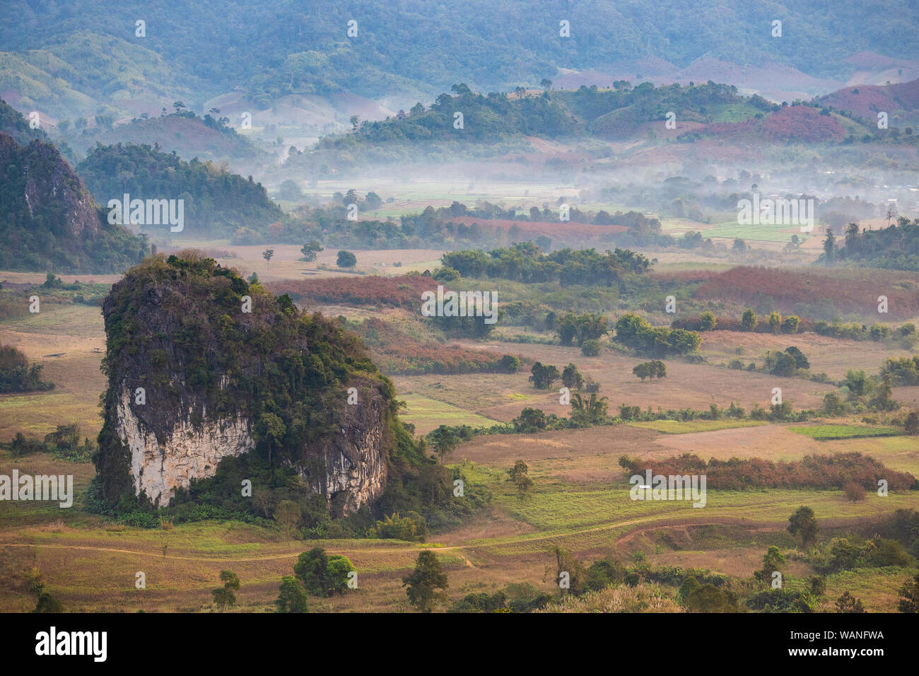 Morgentau in einem Tal im Norden von Thailand Stockfoto