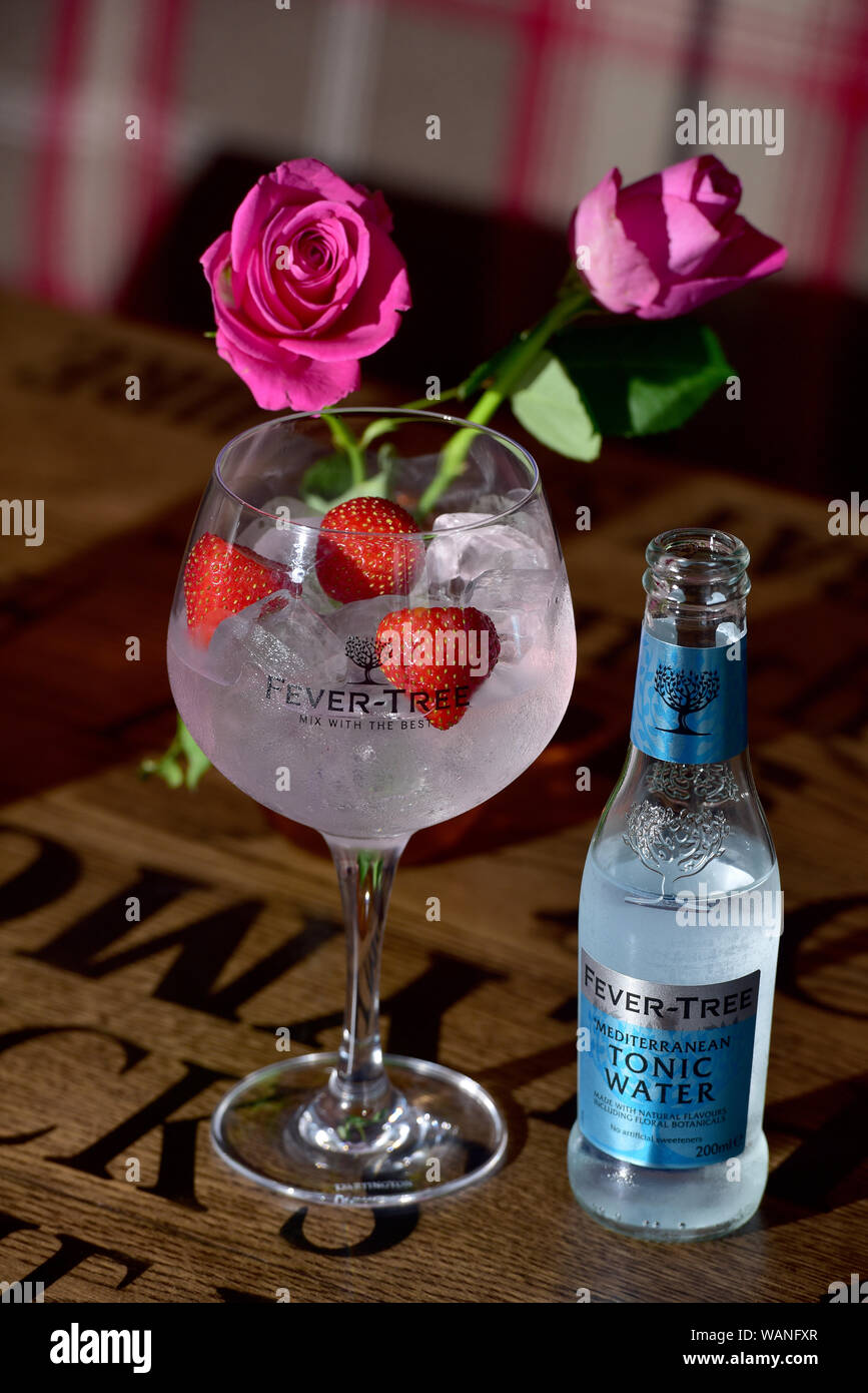 Gin und Tonic. Ein Glas Gin mit einer Flasche Fieber-Tree Tonic Water Stockfoto