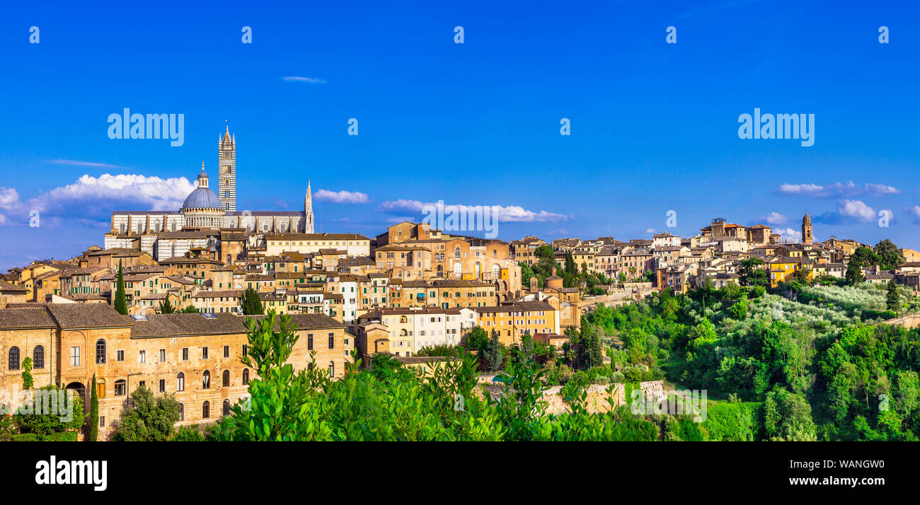 Schöne Siena Altstadt, Panoramaaussicht, Toskana, Italien. Stockfoto