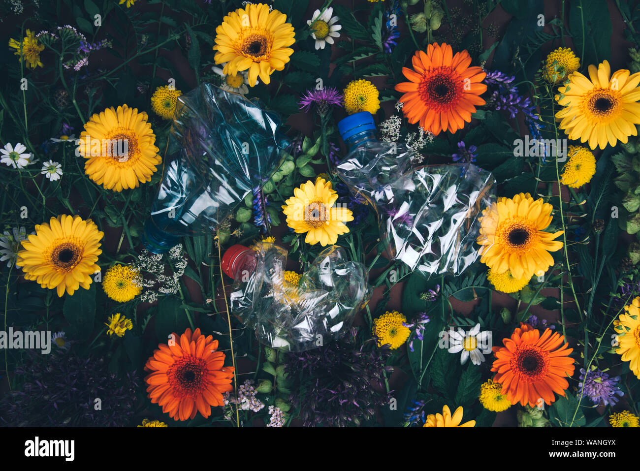 Die Probleme mit der Verschmutzung aus Kunststoff. Ökologische Konzept. Stockfoto