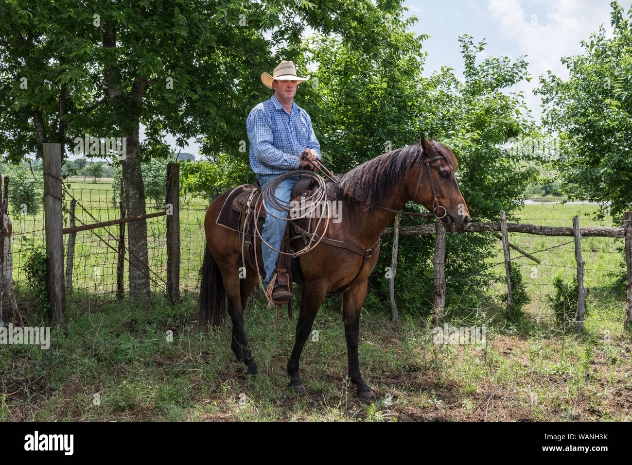 Cowhand Craig Bauer, auf seinem Pferd, Spaghetti, an der 1.800-acre Lonesome Pine Ranch, eine working Cattle Ranch, die Teil des Texas Ranch Leben Ranch Resort in der Nähe von Chappell Hill im Austin County, Texas Stockfoto