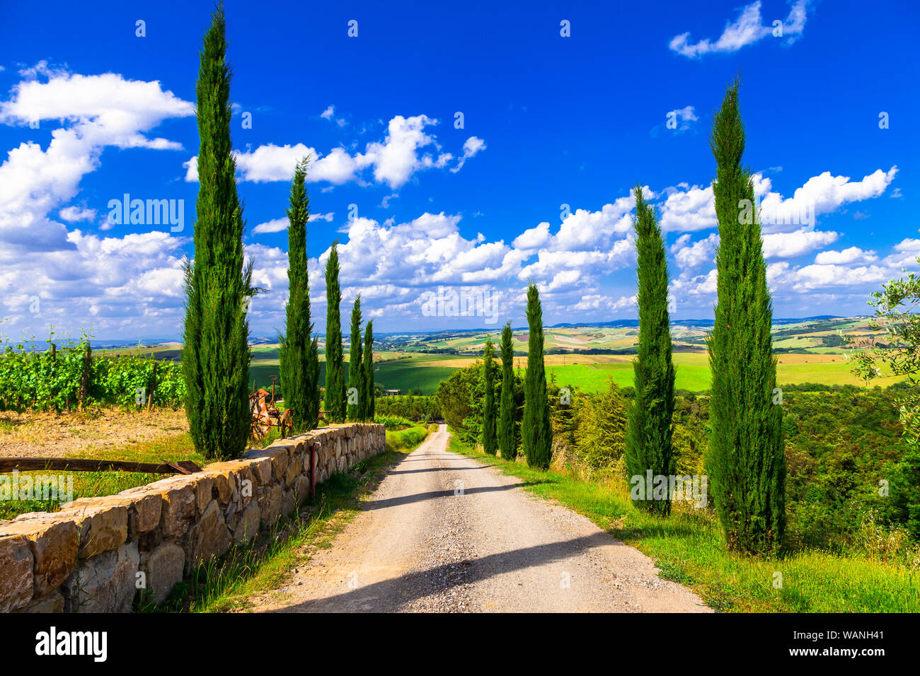 Landschaft der Toskana, Val d'Orcia, Italien. Stockfoto